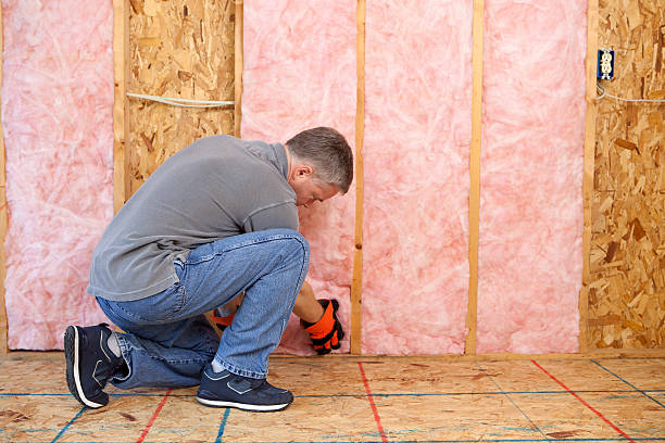 Best Commercial Insulation in Kincaid, IL