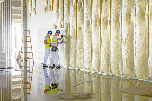 Best Insulation for Specific Applications in Kincaid, IL